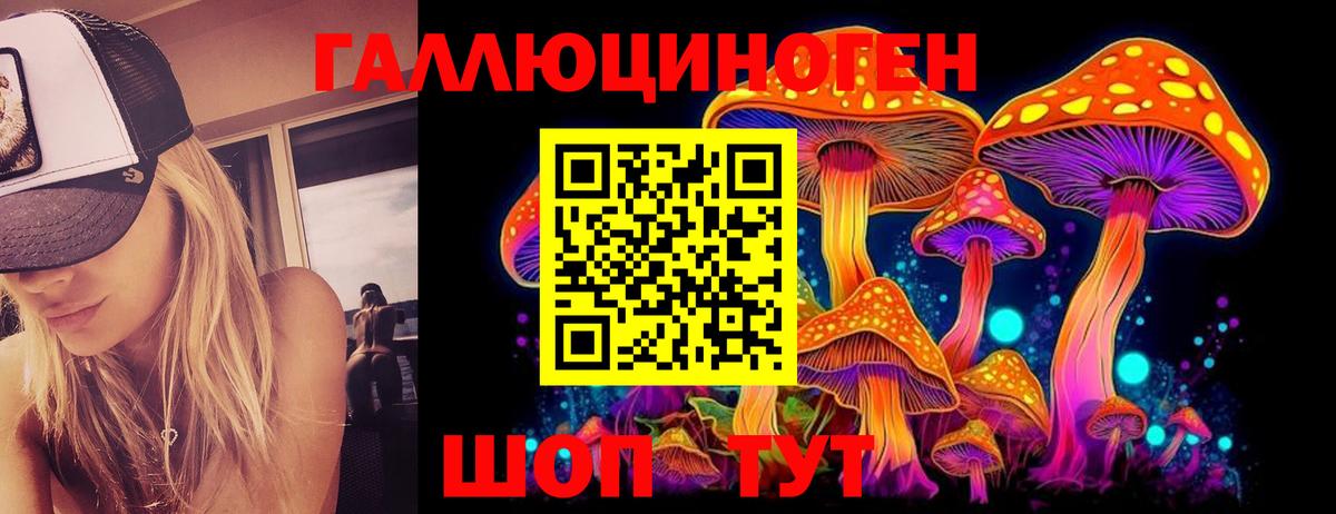 закладки  Вход с VPN  Шали  Галлюциногенные грибы Magic Shrooms 
