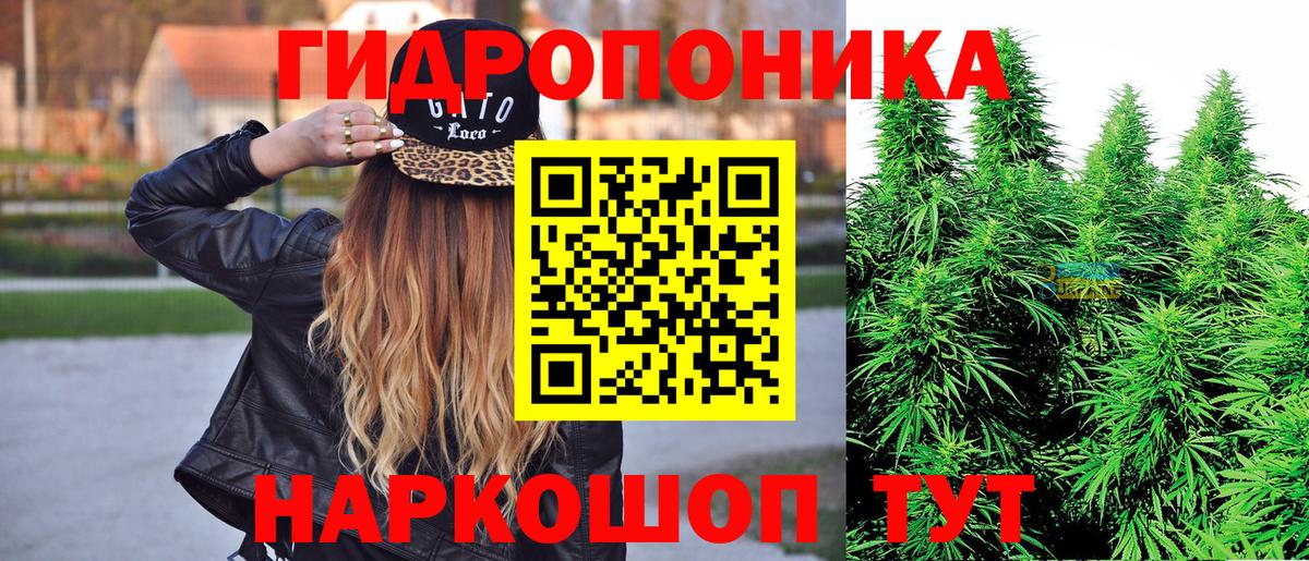 Канабис семена  МАРИХУАНА AK-47  Вход с VPN  Шали  Конопля VHQ 